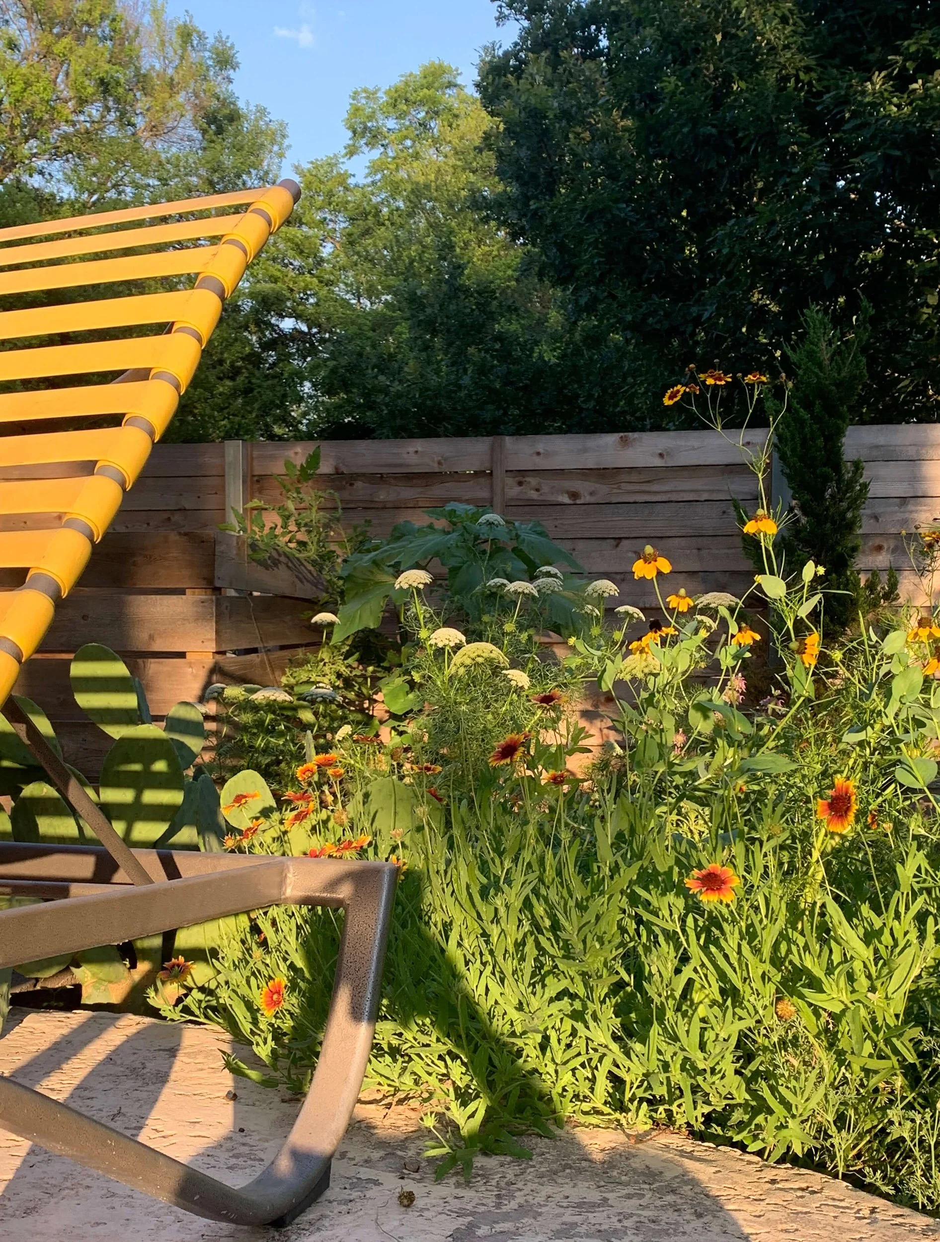 Texas Forever Wildflower Mix — Joy Max Jardín